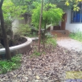 崇庆中路税校对面独院出租